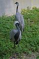 Zoo Schmiding 005